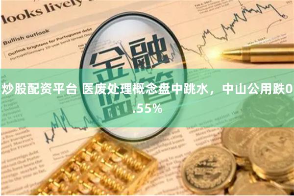 炒股配资平台 医废处理概念盘中跳水，中山公用跌0.55%