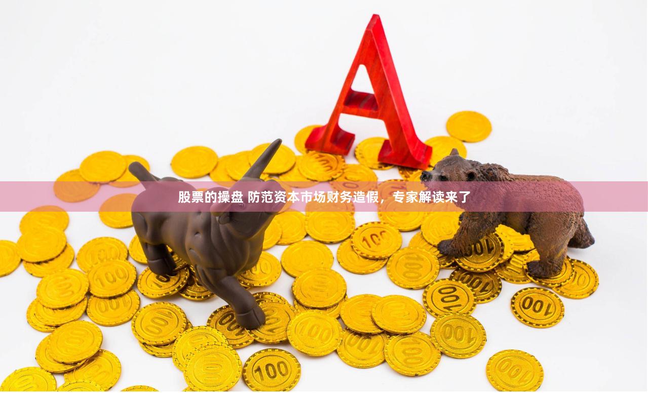股票的操盘 防范资本市场财务造假，专家解读来了
