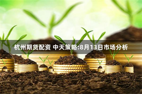 杭州期货配资 中天策略:8月13日市场分析
