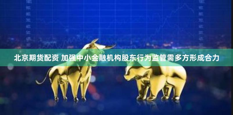北京期货配资 加强中小金融机构股东行为监管需多方形成合力