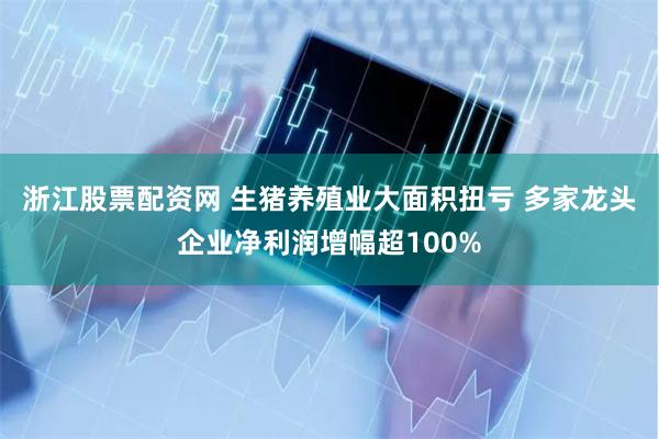浙江股票配资网 生猪养殖业大面积扭亏 多家龙头企业净利润增幅超100%