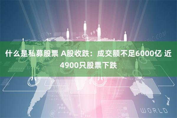 什么是私募股票 A股收跌：成交额不足6000亿 近4900只股票下跌